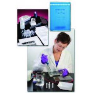AP Biology Lab #6B: Fingerprint Analysis Kit